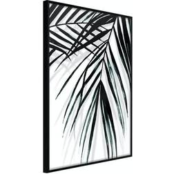 Arkiio Affisch Palm Relax [Poster] 20x30 Poster